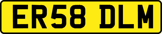 ER58DLM