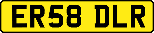 ER58DLR