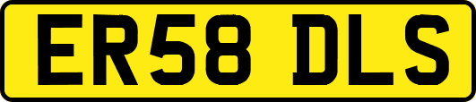ER58DLS