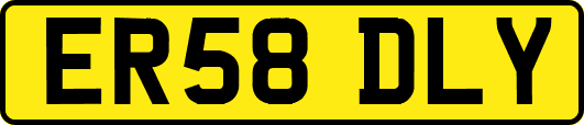 ER58DLY