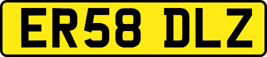 ER58DLZ