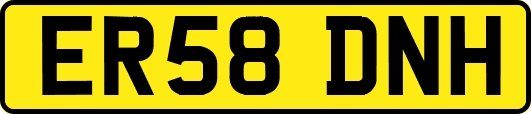 ER58DNH