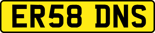 ER58DNS
