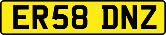 ER58DNZ
