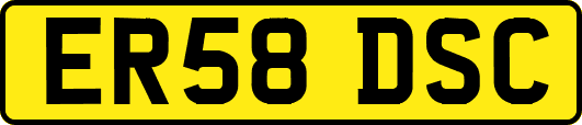 ER58DSC