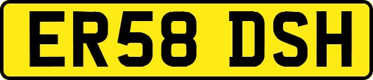 ER58DSH