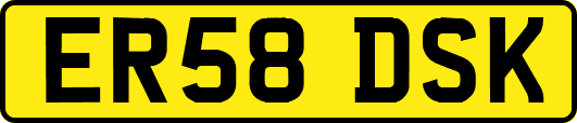 ER58DSK
