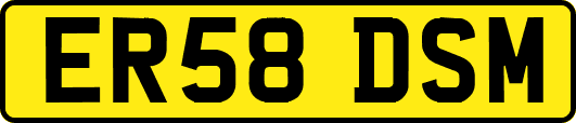 ER58DSM