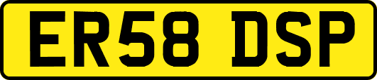 ER58DSP