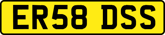 ER58DSS