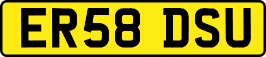 ER58DSU