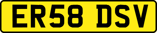 ER58DSV
