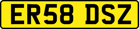 ER58DSZ