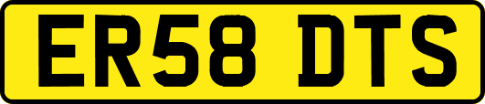 ER58DTS