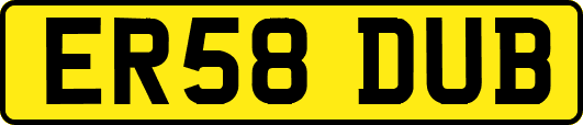 ER58DUB