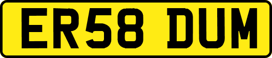 ER58DUM