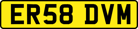 ER58DVM