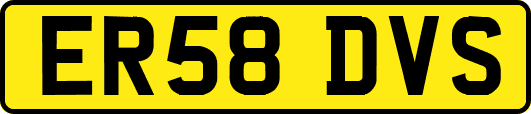 ER58DVS
