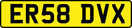 ER58DVX