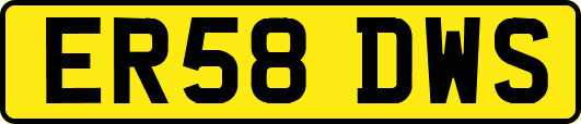 ER58DWS