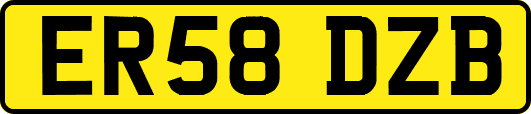 ER58DZB
