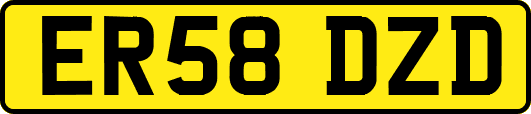 ER58DZD