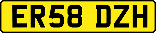 ER58DZH