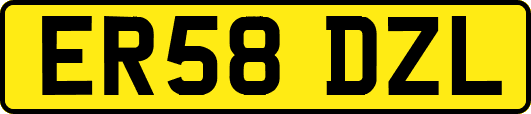 ER58DZL