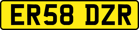 ER58DZR