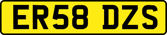 ER58DZS