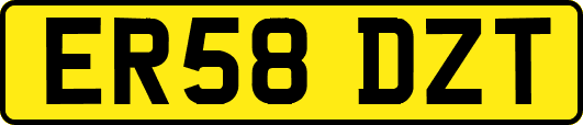 ER58DZT