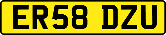 ER58DZU