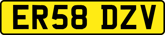 ER58DZV