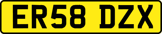 ER58DZX
