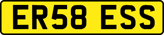 ER58ESS