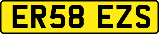 ER58EZS