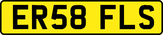 ER58FLS