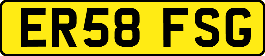 ER58FSG