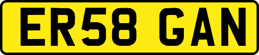 ER58GAN