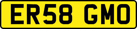 ER58GMO
