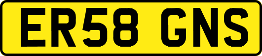 ER58GNS