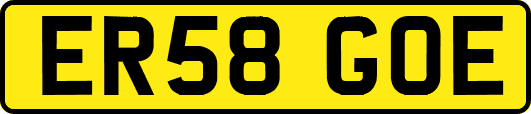 ER58GOE
