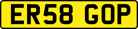 ER58GOP