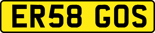 ER58GOS