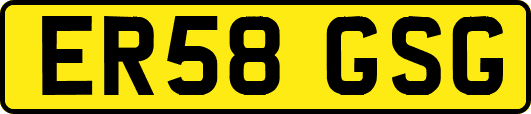 ER58GSG