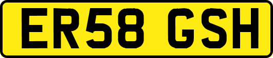 ER58GSH