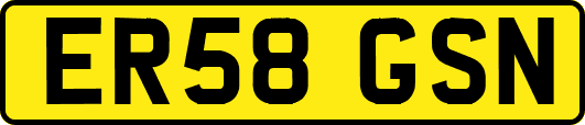 ER58GSN