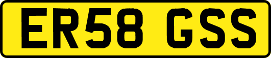ER58GSS