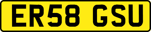 ER58GSU