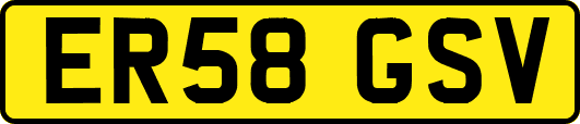 ER58GSV
